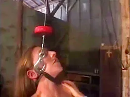 Slovakian Training