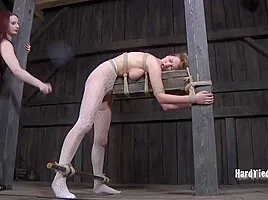 Video (10)