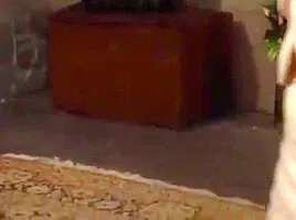 Incredible Adult Video Short Video(technical) Wild Ever Seen