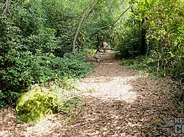 On Vacation Hiking Hude Outdoors With Rebeka Ruby And Cheri Abandoned Island
