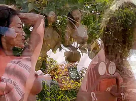 Playboy Centerfolds - PlayboyTV